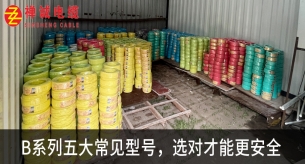 禅诚B系列电线：五大常见型号及安全选择指南