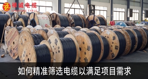 如何精准筛选电缆以满足项目需求