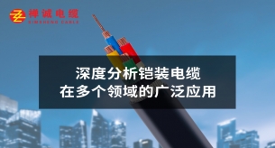 深度分析铠装电缆在多个领域的广泛应用