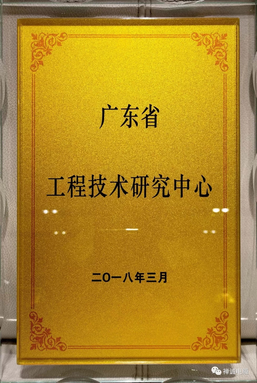 禅诚电缆证书